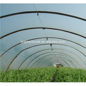 Custom wholesale new products film tomato greenhouse